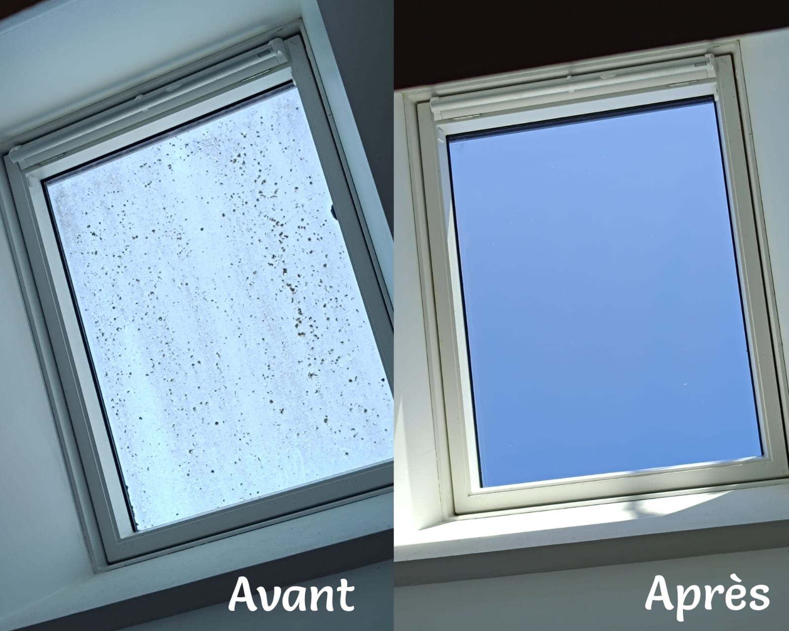 Photo avant/après C